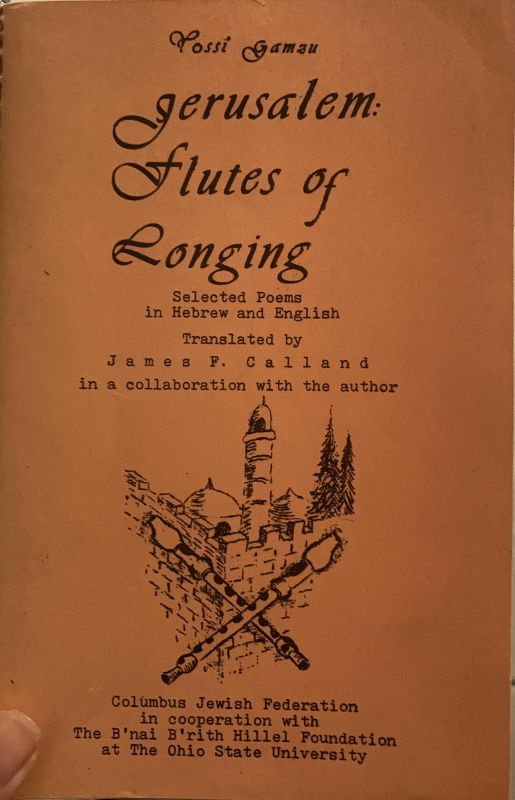 Jerusalem, flutes of longing : selected poems in Hebrew and English